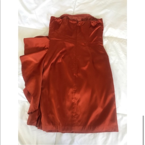 The Limited Strapless Ruffled Rust Dress - Picture 7 of 7